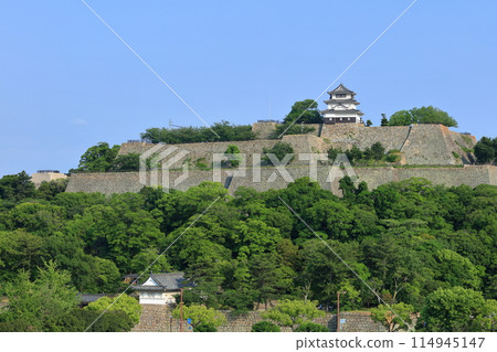 [Kagawa Prefecture] Marugame Castle, the magnificent site of the tallest stone walls in Japan 114945147