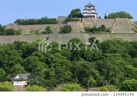 [Kagawa Prefecture] Marugame Castle, the magnificent site of the tallest stone walls in Japan 114945149
