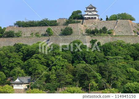 [Kagawa Prefecture] Marugame Castle, the magnificent site of the tallest stone walls in Japan 114945150