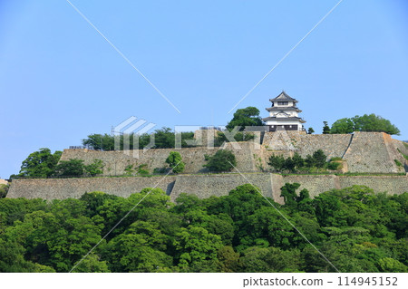 [Kagawa Prefecture] Marugame Castle, the magnificent site of the tallest stone walls in Japan 114945152
