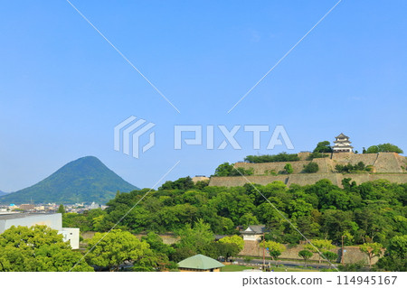 [Kagawa Prefecture] Marugame Castle and Sanuki Fuji (Mt. Iino) on a clear day 114945167