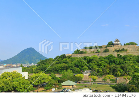 [Kagawa Prefecture] Marugame Castle and Sanuki Fuji (Mt. Iino) on a clear day 114945176
