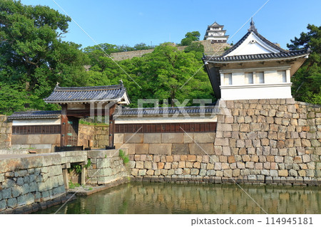 [香川縣]晴朗天氣下的丸龜城和大手門 114945181