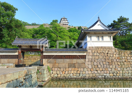 [香川縣]晴朗天氣下的丸龜城和大手門 114945185