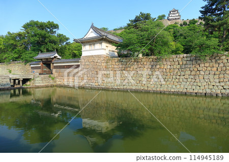 [香川縣]晴朗天氣下的丸龜城和大手門 114945189