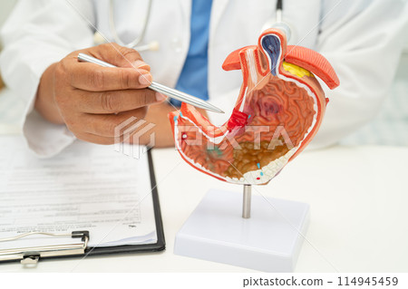Stomach disease, doctor with human anatomy model for study diagnosis and treatment in hospital. Stomach disease, doctor with human anatomy model for study diagnosis and treatment in hospital. 114945459