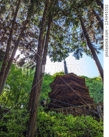 May 2024 Anrakuji Temple, Ueda City, Nagano Prefecture 114945552