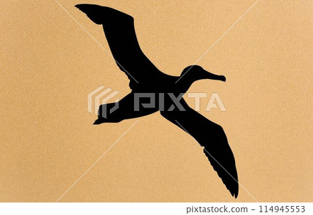 silhouettes of bird albatross, albatross silhouette vector illustration 114945553