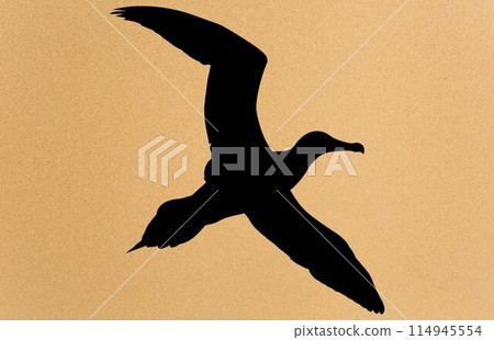 silhouettes of bird albatross, albatross silhouette vector illustration silhouettes of bird albatross, albatross silhouette vector illustration 114945554
