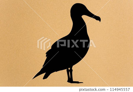 silhouettes of bird albatross, albatross silhouette vector illustration silhouettes of bird albatross, albatross silhouette vector illustration 114945557