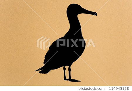 silhouettes of bird albatross, albatross silhouette vector illustration silhouettes of bird albatross, albatross silhouette vector illustration 114945558