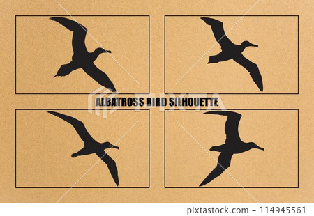 set of silhouettes of bird albatross, albatross bird silhouette vector illustration set of silhouettes of bird albatross, albatross bird silhouette vector illustration 114945561