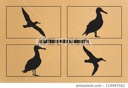 set of silhouettes of bird albatross, albatross bird silhouette vector illustration set of silhouettes of bird albatross, albatross bird silhouette vector illustration 114945562