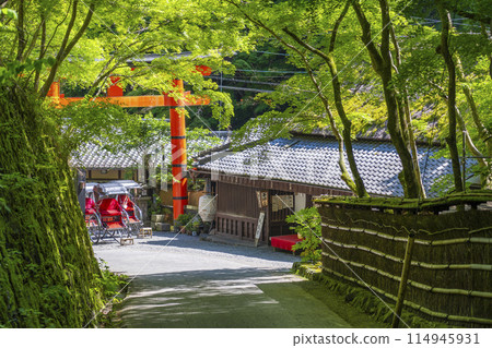 Saga Toriimoto Atago Shrine First Torii 114945931