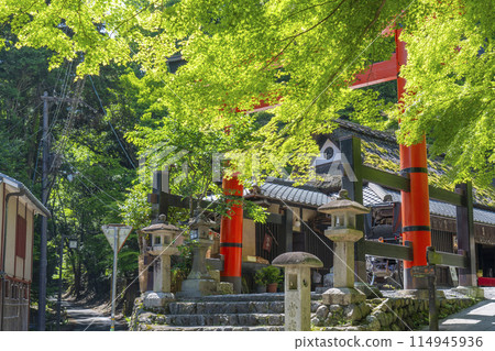 佐賀鳥居 書 愛宕神社第一鳥居 佐賀鳥居 書 愛宕神社第一鳥居 114945936