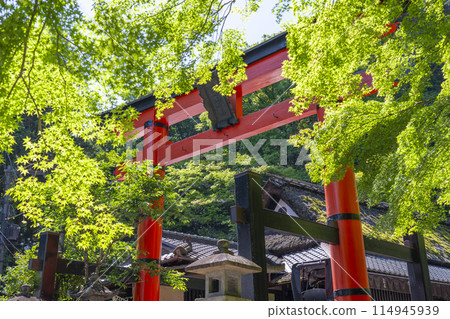 佐賀鳥居 書 愛宕神社第一鳥居 114945939