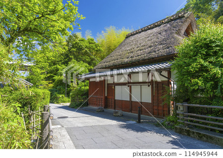 Saga Toriimoto: Green maples and thatched roofs Saga Toriimoto: Green maples and thatched roofs 114945944