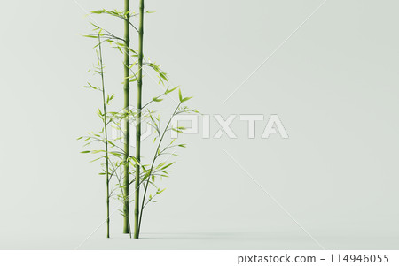 leaves, botany, botanical 114946055