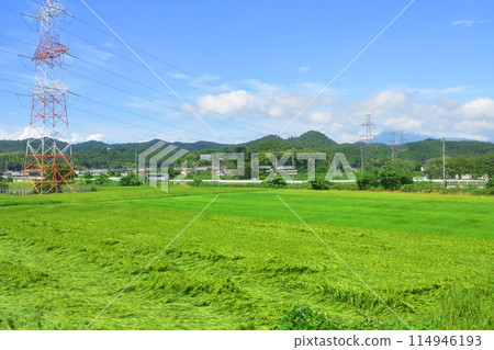 從JR東海道本線米原站到大垣站的車窗看到的景色(2022年夏季) 從JR東海道本線米原站到大垣站的車窗看到的景色(2022年夏季) 114946193