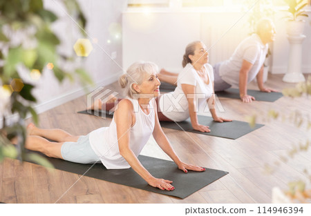Mature lady performs asana cobra - pose dog muzzle up, Urdhva Mukha Shvanasana- Bhujangasana Mature lady performs asana cobra - pose dog muzzle up, Urdhva Mukha Shvanasana- Bhujangasana 114946394