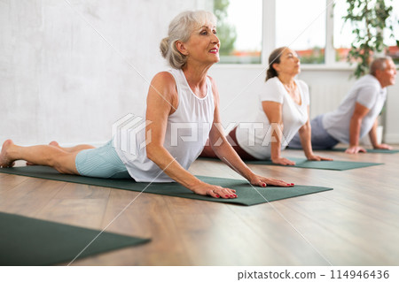 Group of elderly people doing yoga on mat in studio 114946436