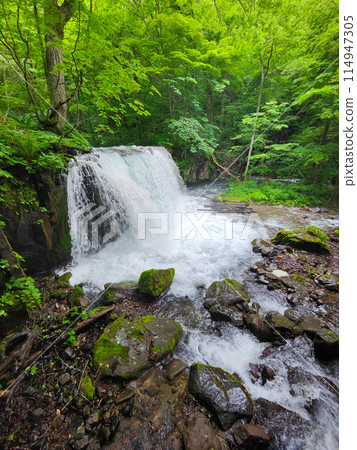 Oirase Stream: Choshi Falls 114947305