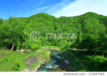 Hakuba-mura Oide Park 114947368