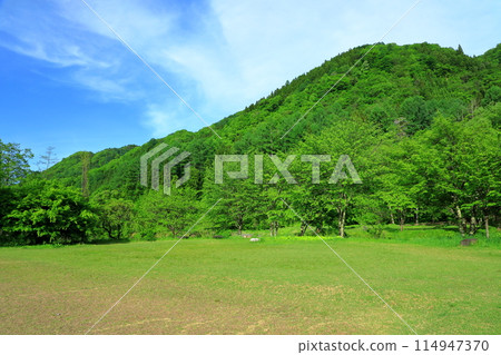 Hakuba-mura Oide Park 114947370