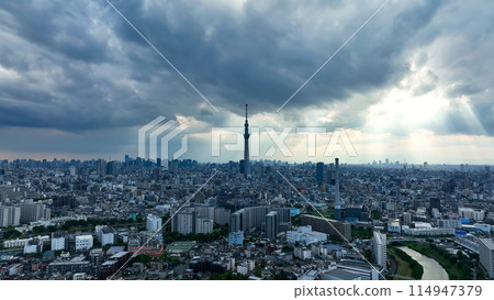 Tokyo scenery aerial view 114947379