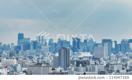 城市景觀鳥瞰圖 114947389
