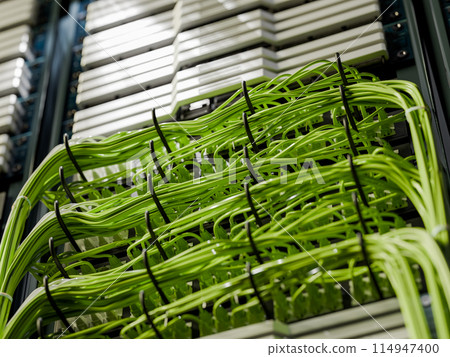 Servers and Cables 114947400