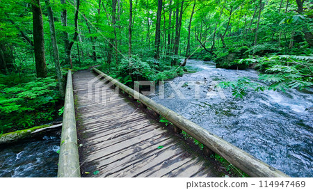 Oirase stream 114947469