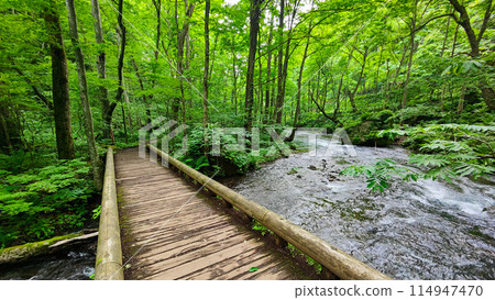 Oirase stream 114947470