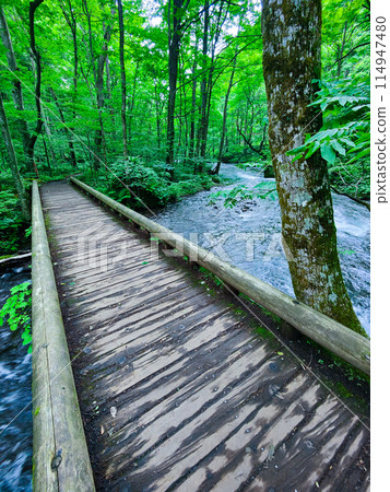 Oirase stream 114947480
