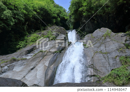 Looking up at Todoroki Falls in early summer, one of Japan's 100 best waterfalls (Kami City, Kochi Prefecture) Looking up at Todoroki Falls in early summer, one of Japan's 100 best waterfalls (Kami City, Kochi Prefecture) 114948047