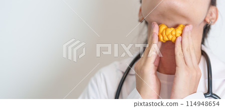 Doctor with human Thyroid anatomy model. Hyperthyroidism, Hypothyroidism, Hashimoto Thyroiditis, Thyroid Tumor and Cancer, Postpartum, Papillary Carcinoma and Health concept 114948654