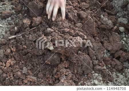 Preparing a ground nursery Bed for crops on farm 114948708