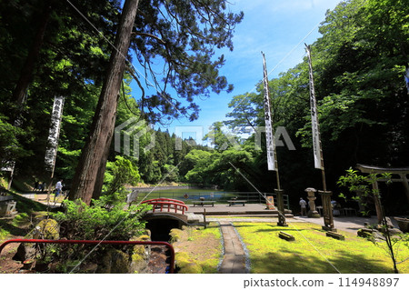 Fresh greenery at Zenpoji Temple 114948897