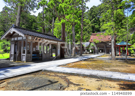 Fresh greenery at Zenpoji Temple Fresh greenery at Zenpoji Temple 114948899