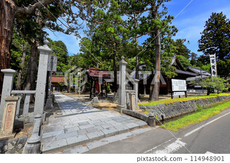 鮮綠的善法寺 鮮綠的善法寺 114948901