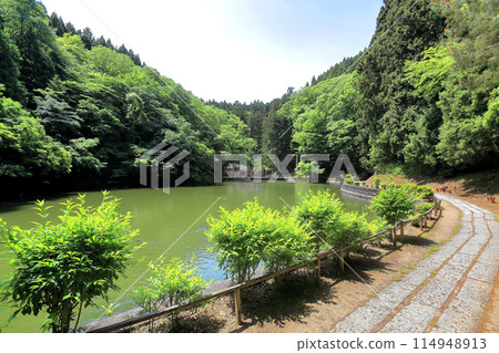鮮綠的善法寺 鮮綠的善法寺 114948913