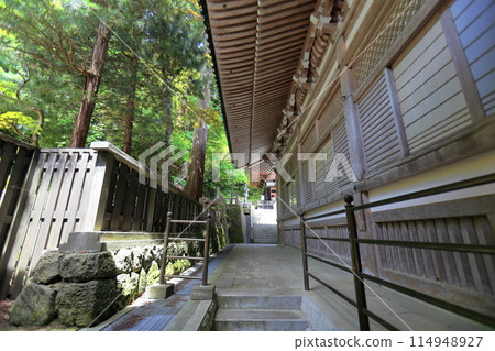 鮮綠的善法寺 114948927