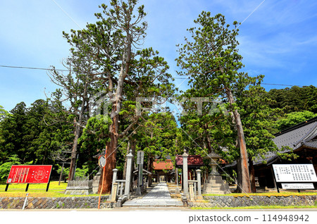 鮮綠的善法寺 鮮綠的善法寺 114948942