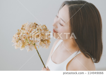 hydrangea, female, lady 114949066