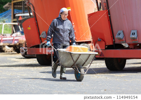 People working on the farm Dairy farmers 114949154