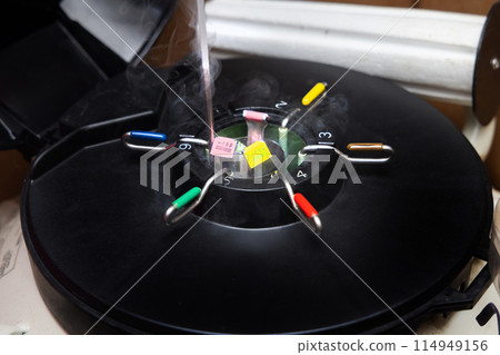 Farm, artificial insemination, cow, liquid nitrogen Farm, artificial insemination, cow, liquid nitrogen 114949156