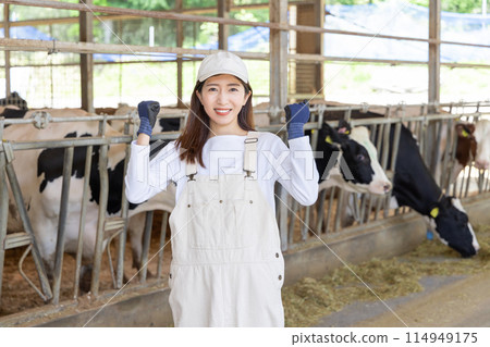 People working on the farm Dairy farmers 114949175
