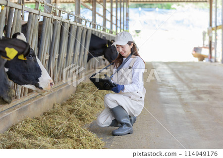 People working on the farm Dairy farmers 114949176
