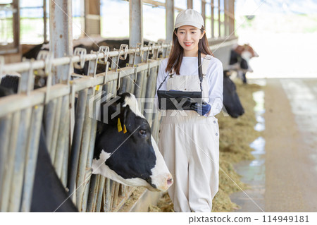 People working on the farm Dairy farmers 114949181