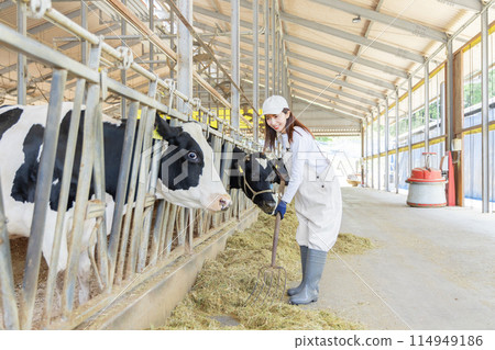 在農場工作的人、酪農 114949186